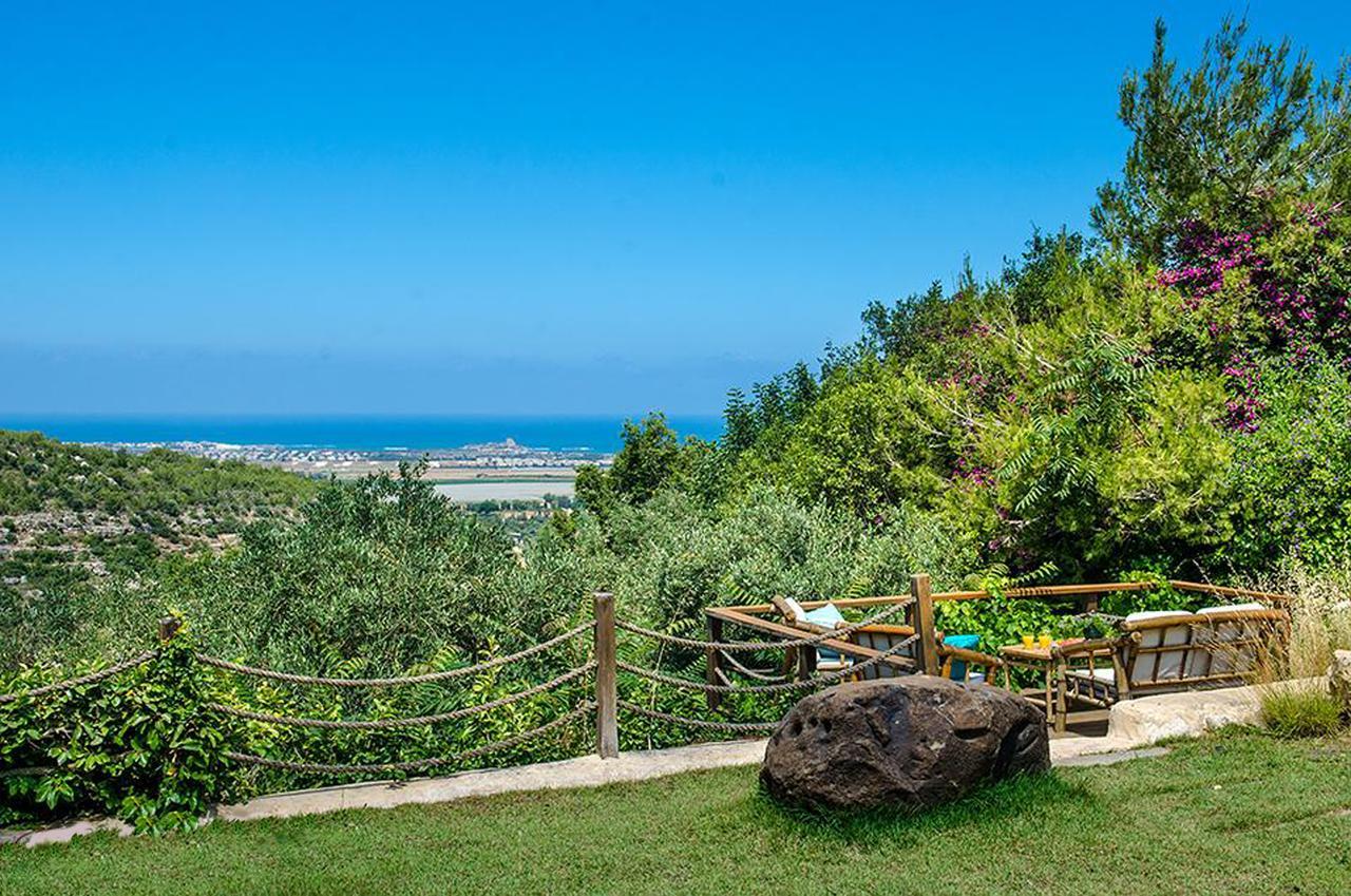 Vila Above The Sea Ein Hod Exteriér fotografie